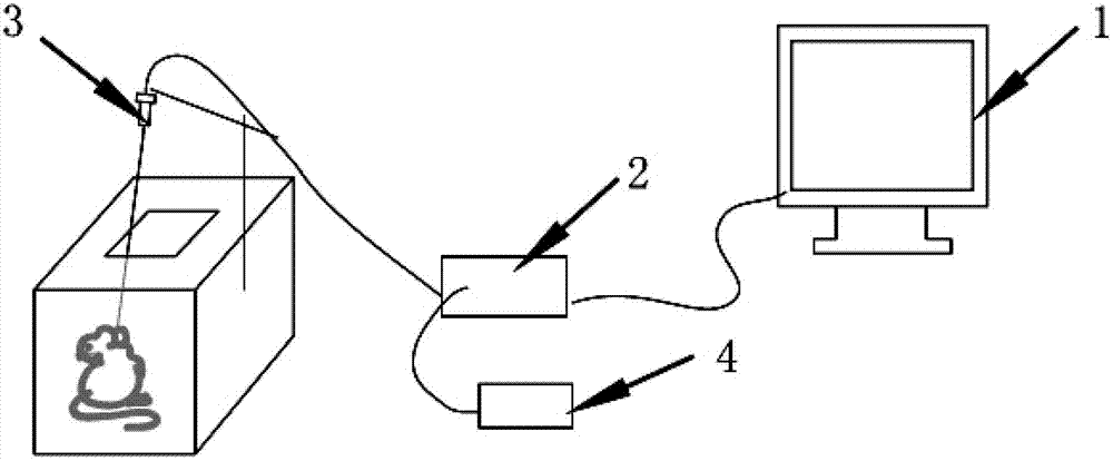 Animal automatic sampling and drug delivery system