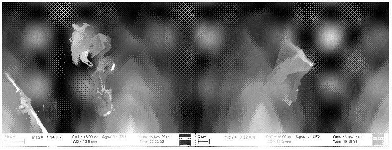 Method for extracting and observing three-dimensional appearance of non-metallic inclusion in steel in full-scale mode