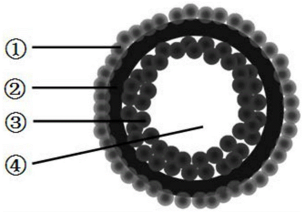 Novel magnetic ferric oxide hollow microsphere contrast agent