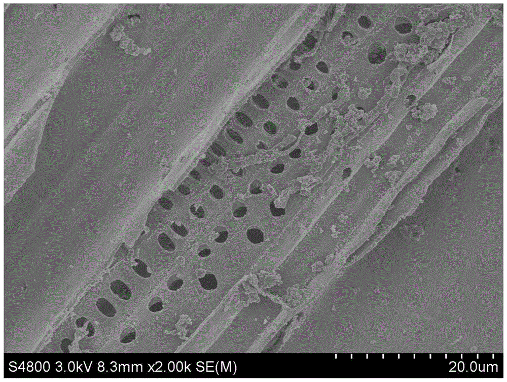 A kind of preparation method of biological carbon/ammonium vanadate lithium ion battery cathode material