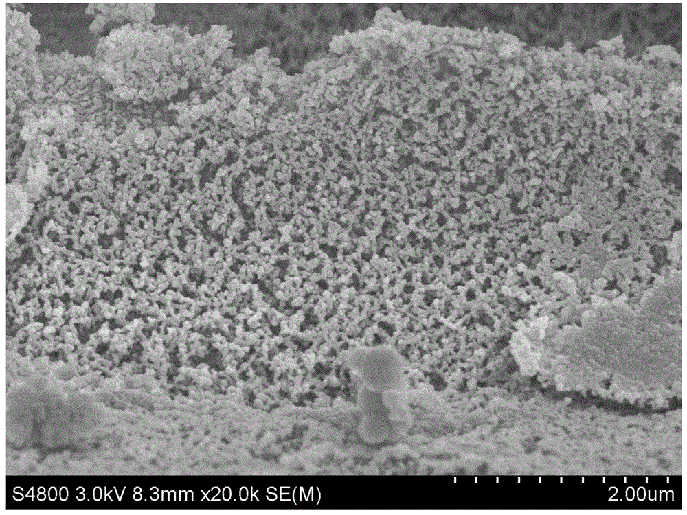 A kind of preparation method of biological carbon/ammonium vanadate lithium ion battery cathode material