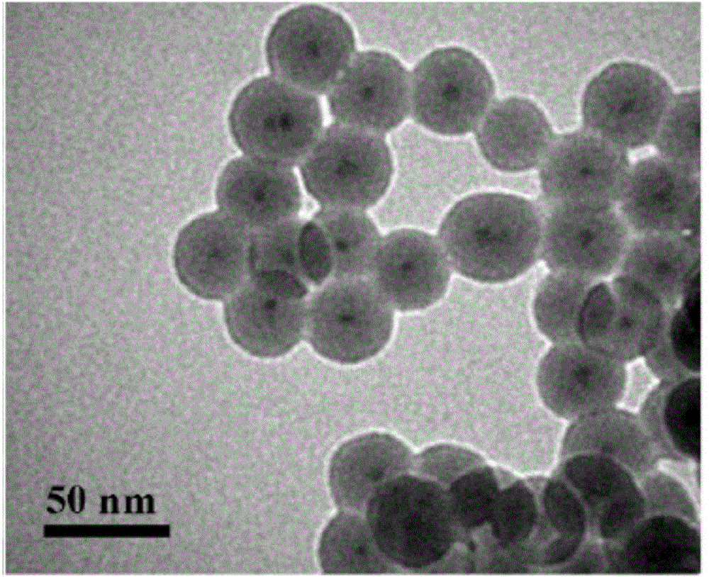 Preparation method for molecularly imprinted-quantum dot polymer of pyrethroid type pesticide