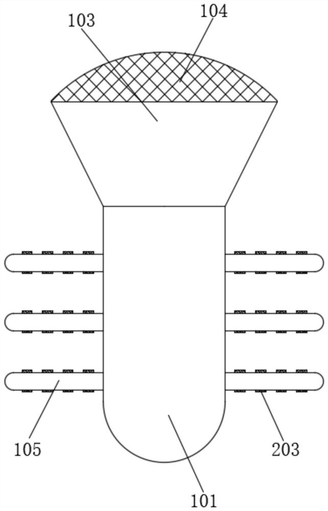 Rainwater collecting and seepage guiding embedded rod for soil drought control