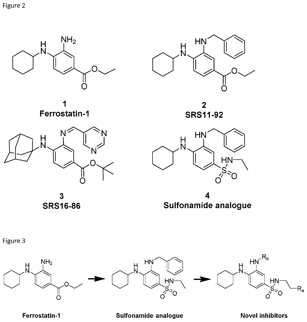 3-(benzylamino)-4-(cyclohexylamino)-n-(2-(piperazin-1-yl)ethyl)benzenesulfonamide derivatives and related ferrostatin-1 analogues as cell death inhibitors for treating e.g. stroke