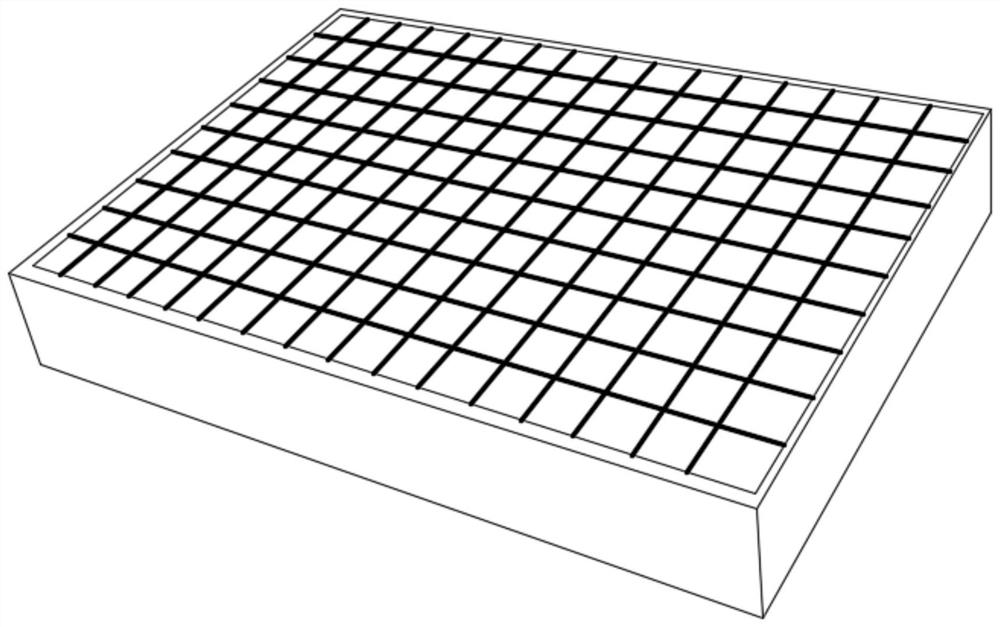 Method for floating seedling breeding in sorghum paddy field