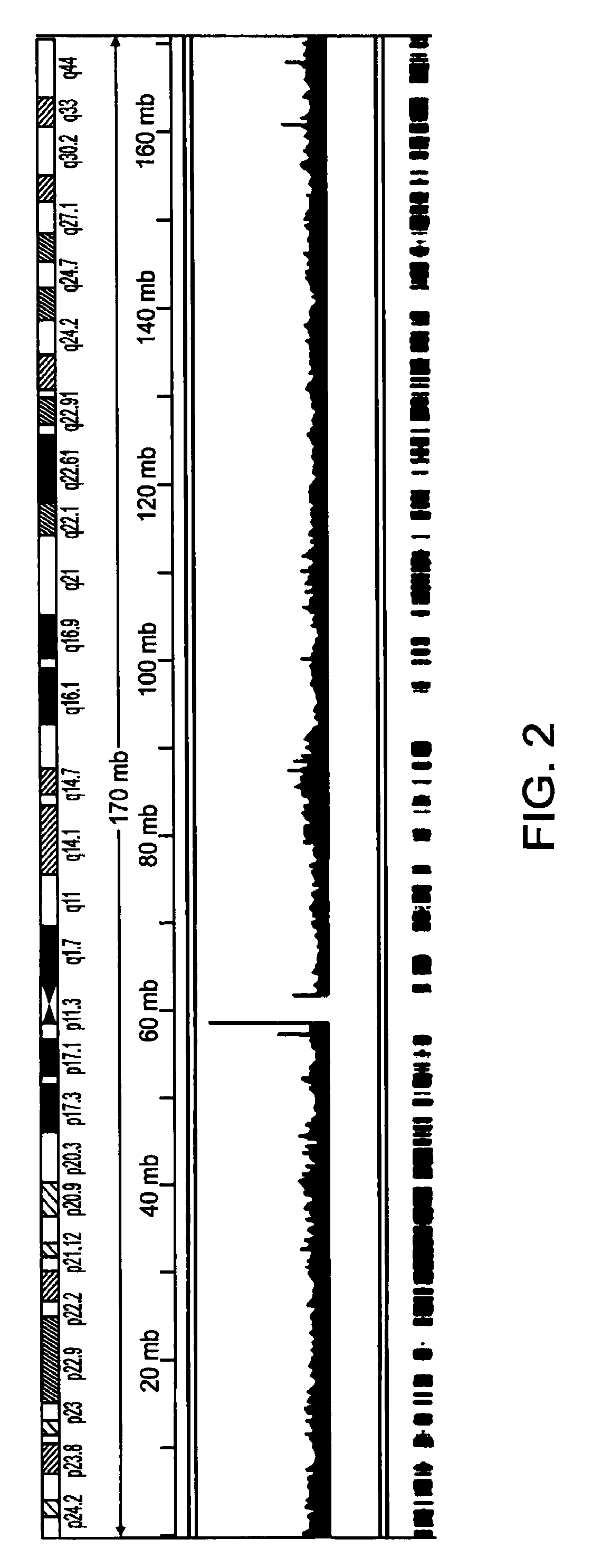 Methods of amplifying whole genome of a single cell