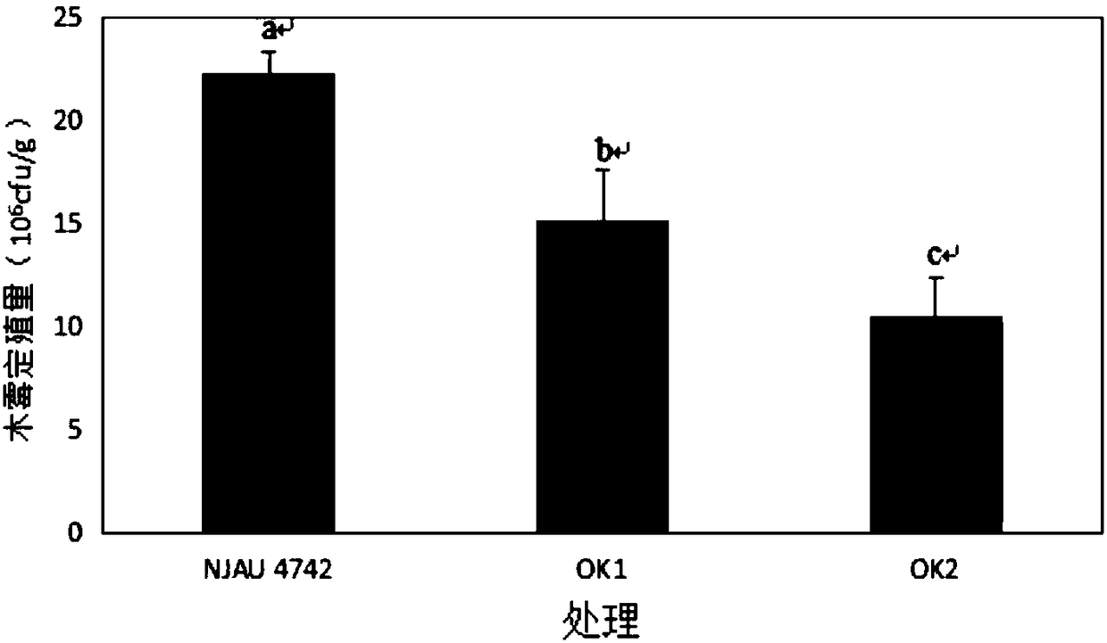 Preparation method and application of Swollenin protein sourced from Trichoderma Guizhouense