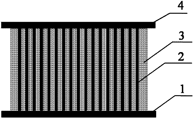 CdS single crystal nanowire solar battery and preparation method of the same