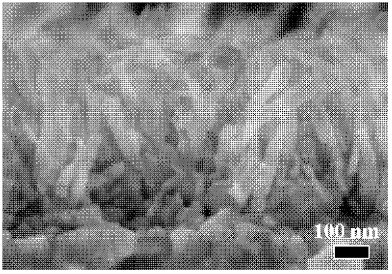 CdS single crystal nanowire solar battery and preparation method of the same