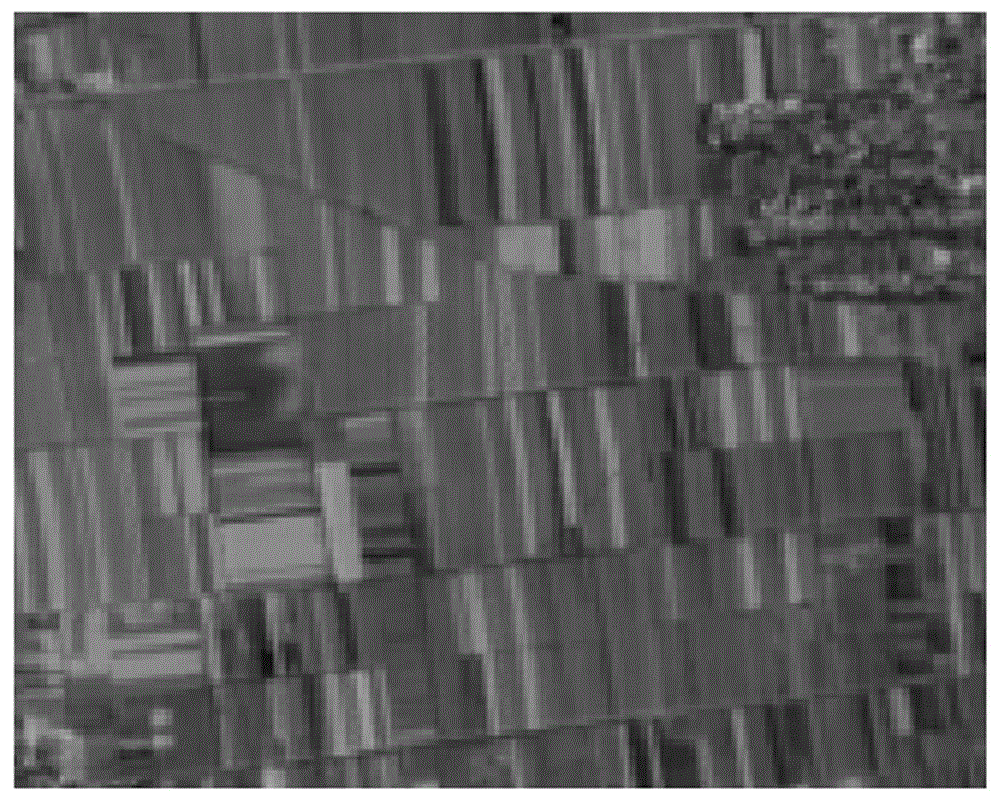 Near-rectangle guide based remote-sensing cornfield image segmentation method