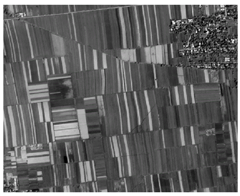 Near-rectangle guide based remote-sensing cornfield image segmentation method