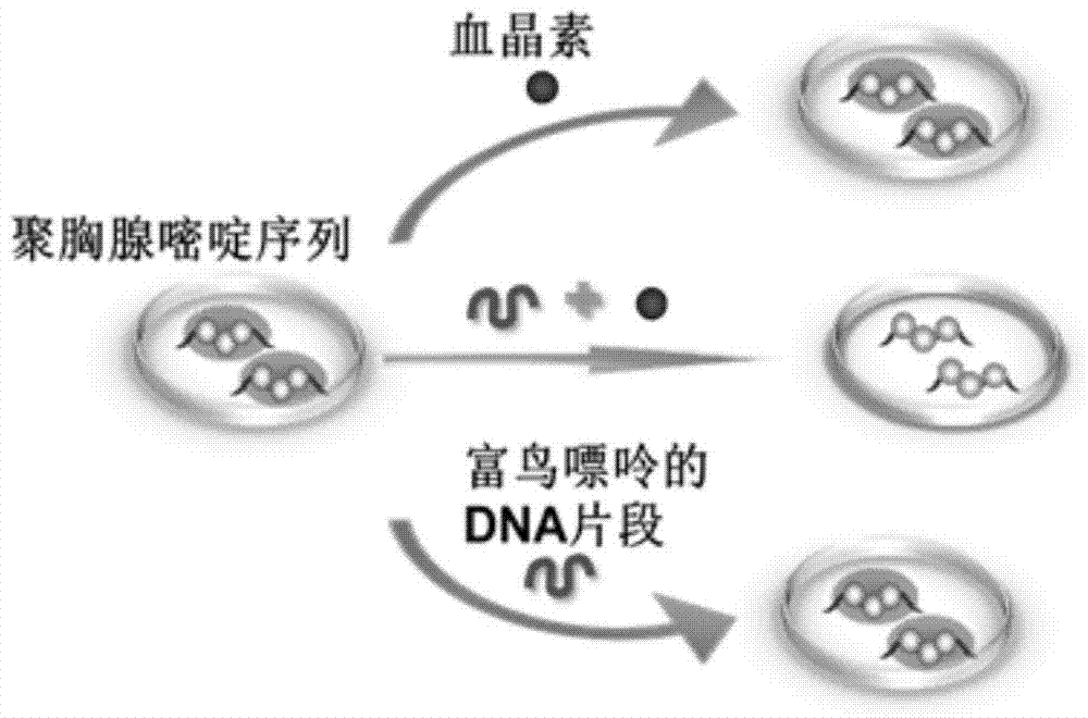 Preparation method and application of a fluorescent biosensor