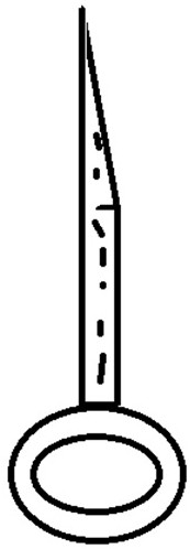 Novel method for eggplant grafting and seedling raising through cuttage grafting