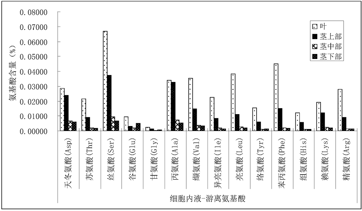 Separation and extraction method of amino acid in different forms of monocotyledons