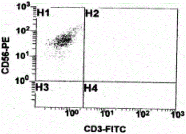 NK cell in-vitro amplification composition and NK cell amplification method