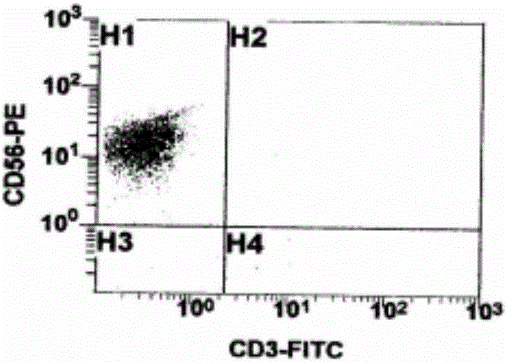 NK cell in-vitro amplification composition and NK cell amplification method