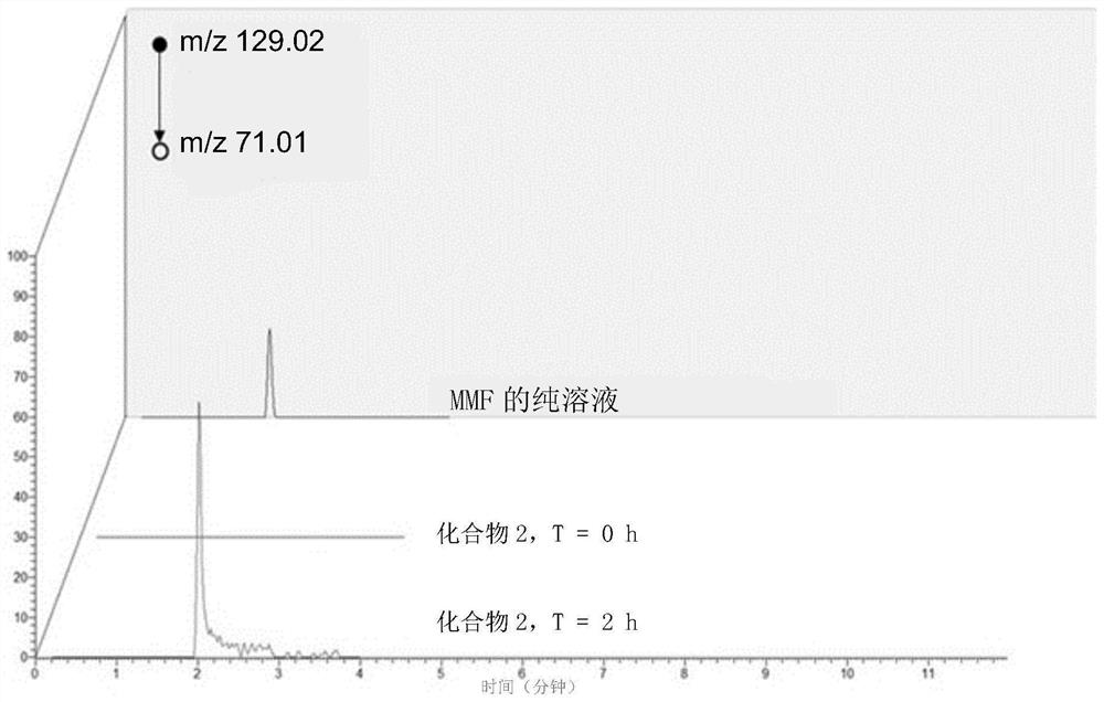 Monomethyl fumarate-carrier conjugates and methods of their use