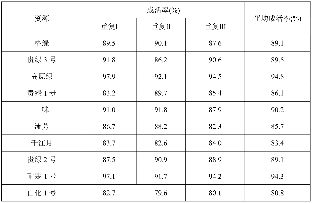 A method for grafting and rapid propagation of tea tree specific germplasm resources