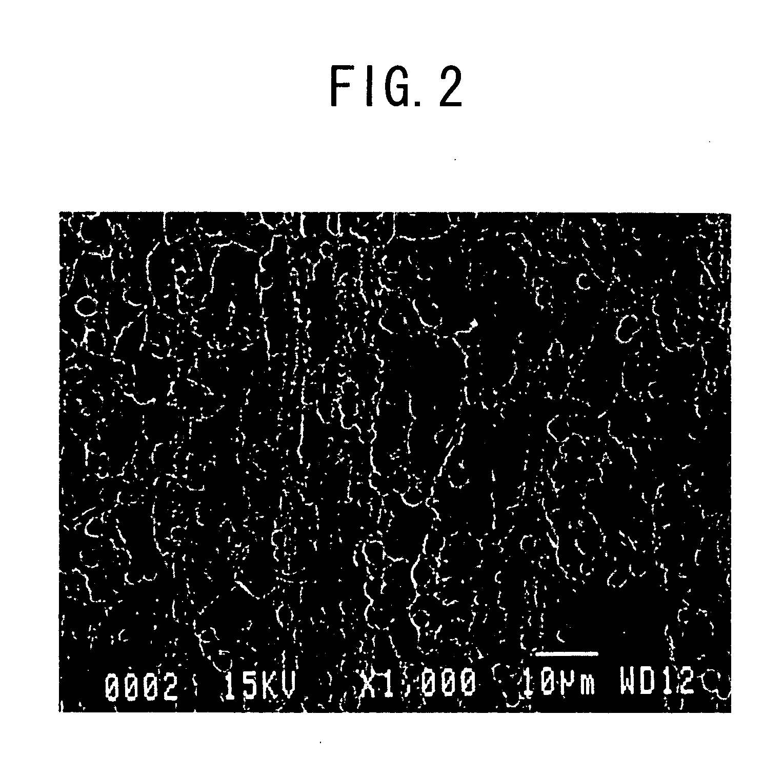 Stainless steel plate, method of manufacturing the same, and rubber-coated stainless steel plate gasket