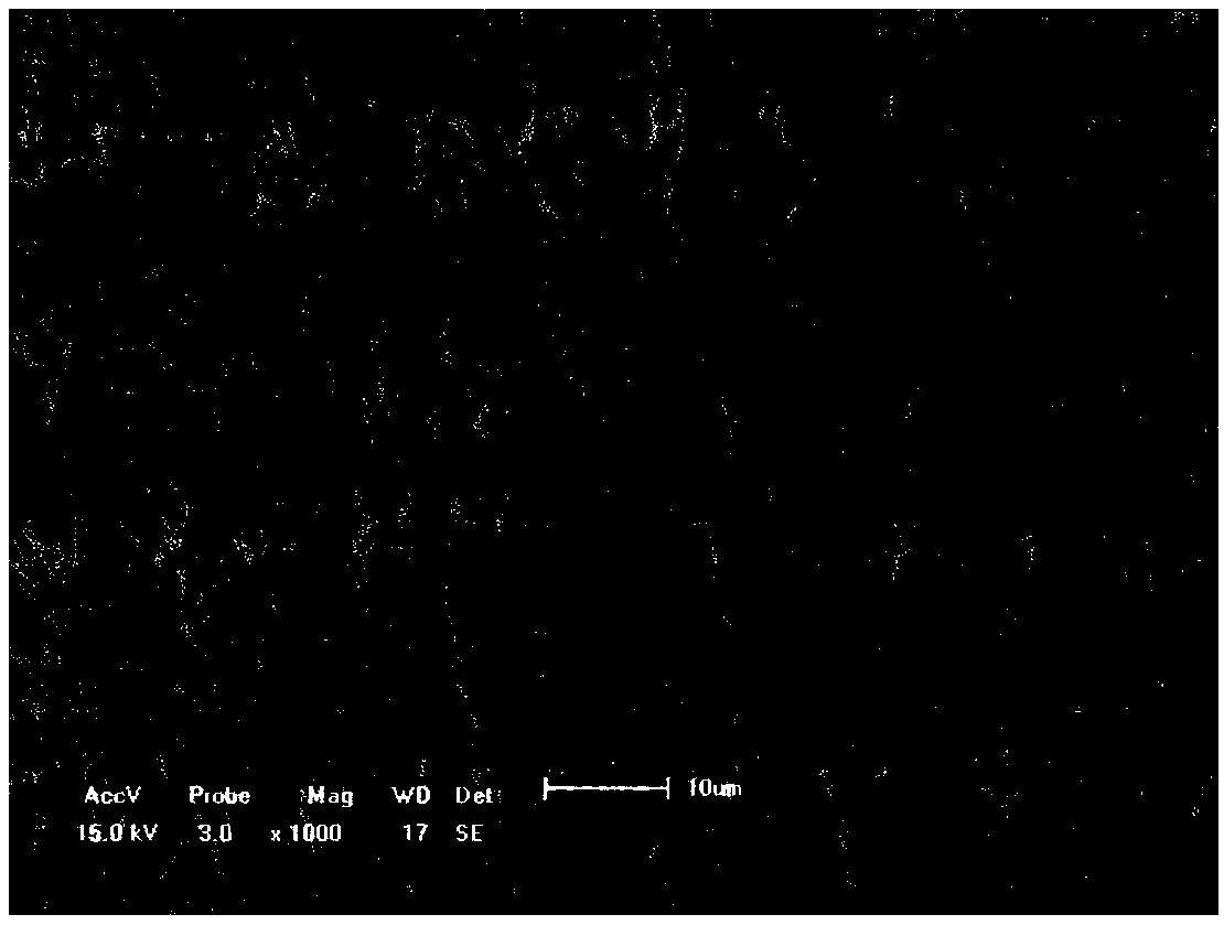 A kind of preparation method of high moisture permeability polytetrafluoroethylene film