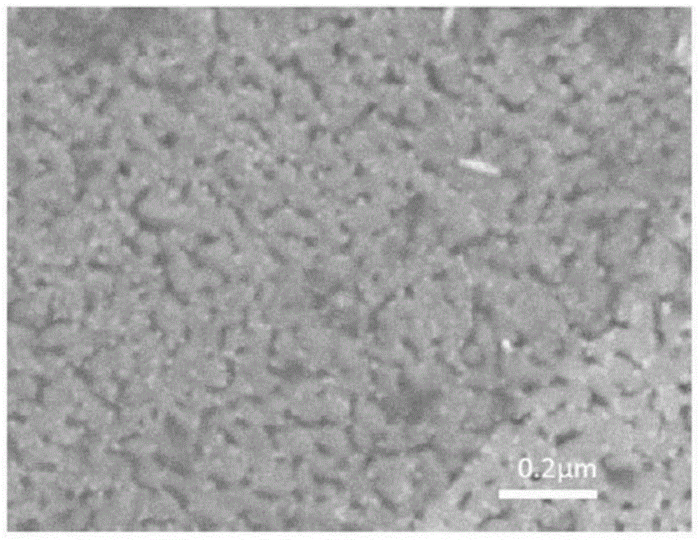 Surface coating cutting tool and manufacturing method thereof