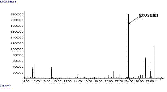 Strain for generating geosmin and screening method thereof