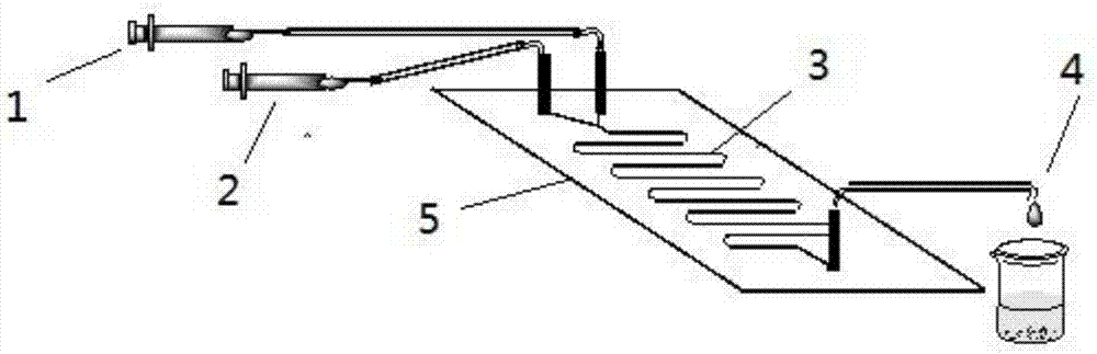 Method for synthesizing N-(5-sucrose ester valeryl)mexiletine online by lipozyme catalysis