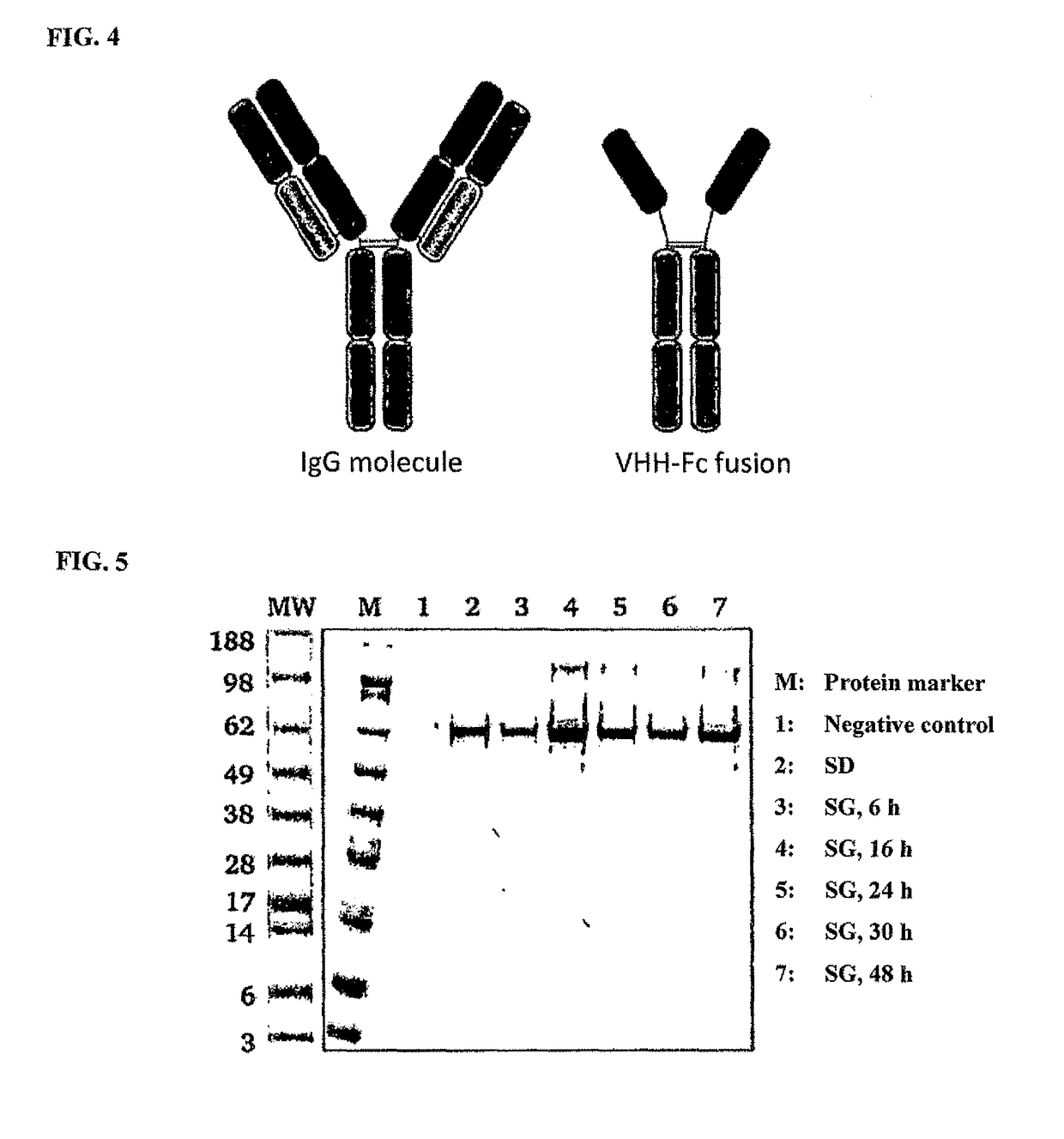 Method of producing secretable antibodies by expression in saccharomyces cerevisiae