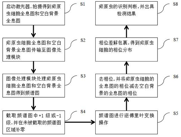 System and method for automatically detecting and identifying plasmodium