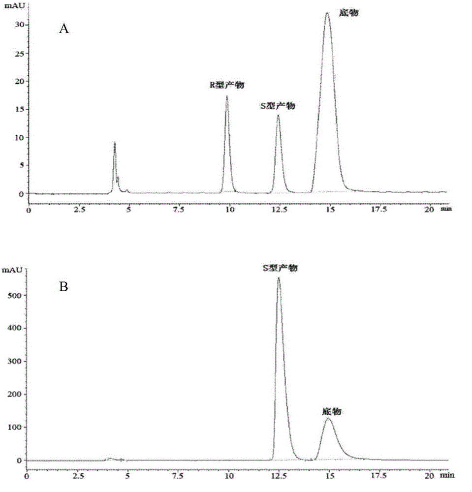 Pseudomonas aeruginosa ZJPH1504 and application thereof in preparation of sitagliptin chiral intermediate