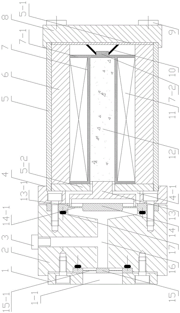 Giant-magnetostriction driving and displacement amplifying device for direct drive valve