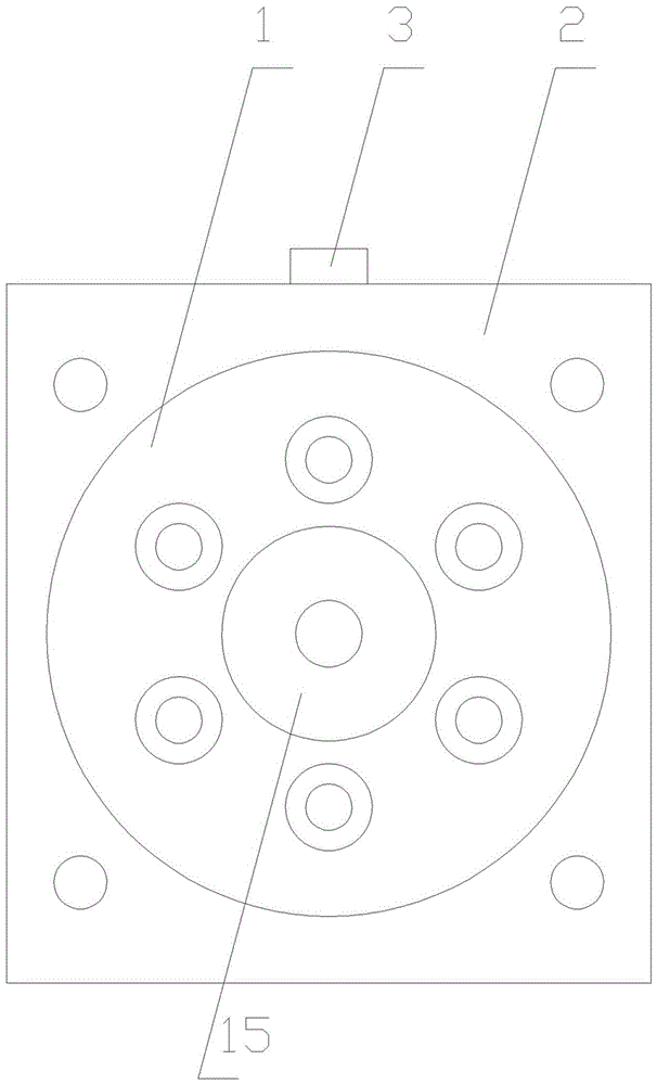 Giant-magnetostriction driving and displacement amplifying device for direct drive valve