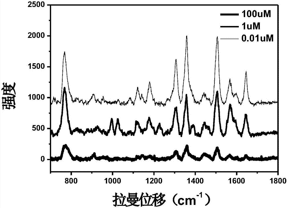 Surface enhance Raman spectroscopy (SERS) based acetylcholine detection method