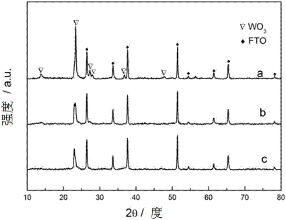 Preparation method for tungsten trioxide nanowire electrochromic film
