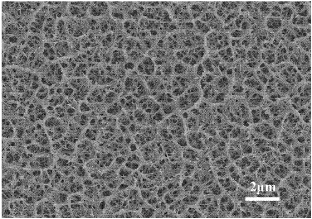 Preparation method for tungsten trioxide nanowire electrochromic film