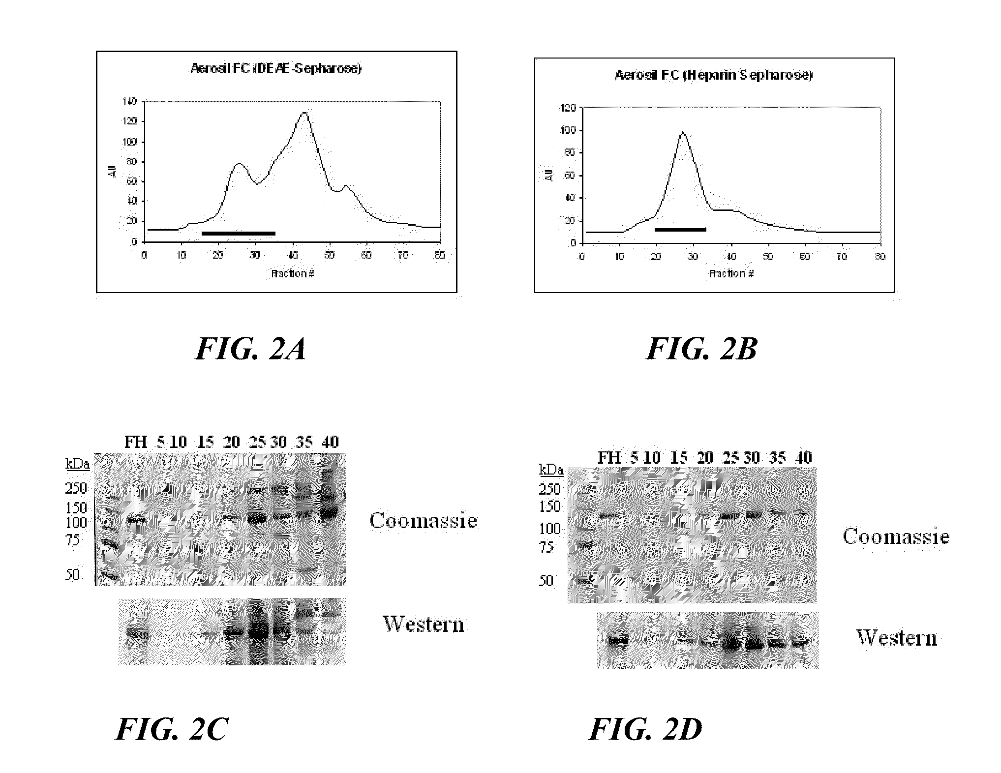 Manufacture of factor h (FH) and FH-derivatives from plasma