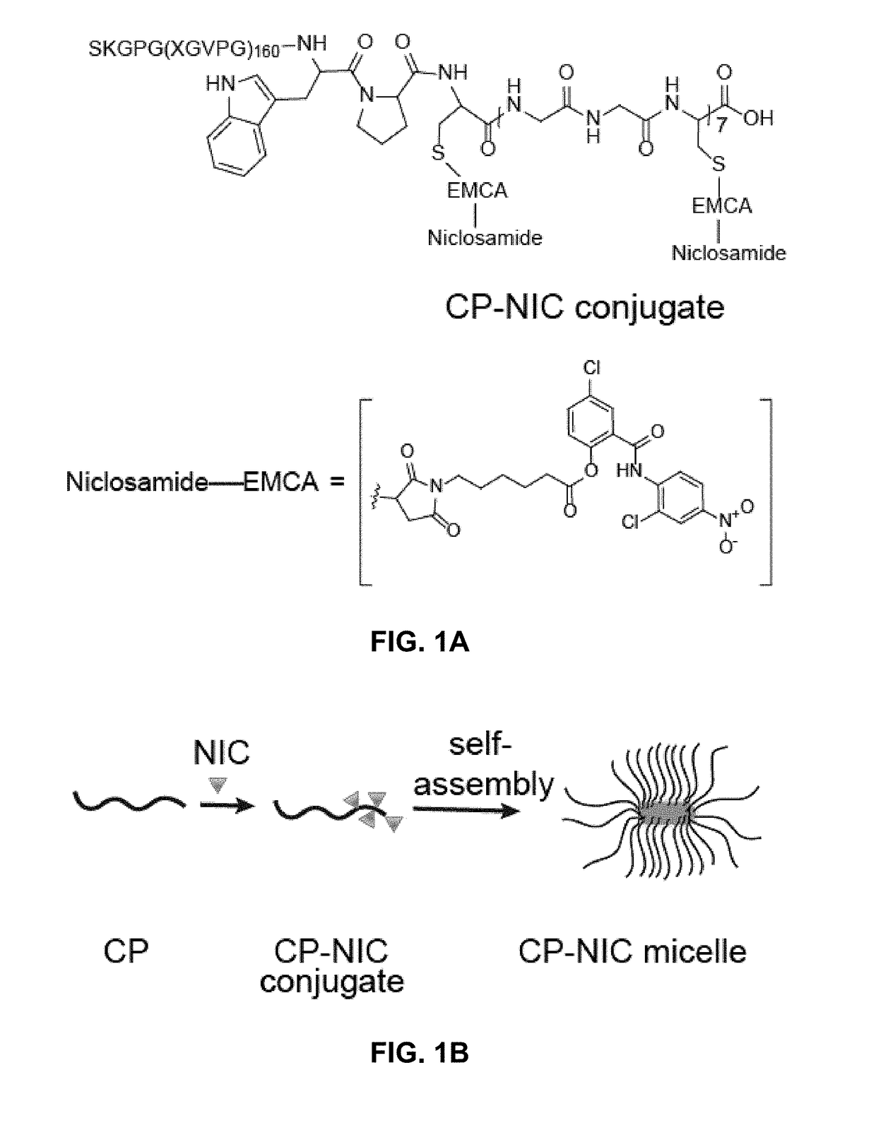 Niclosamide-conjugated polypeptide nanoparticles