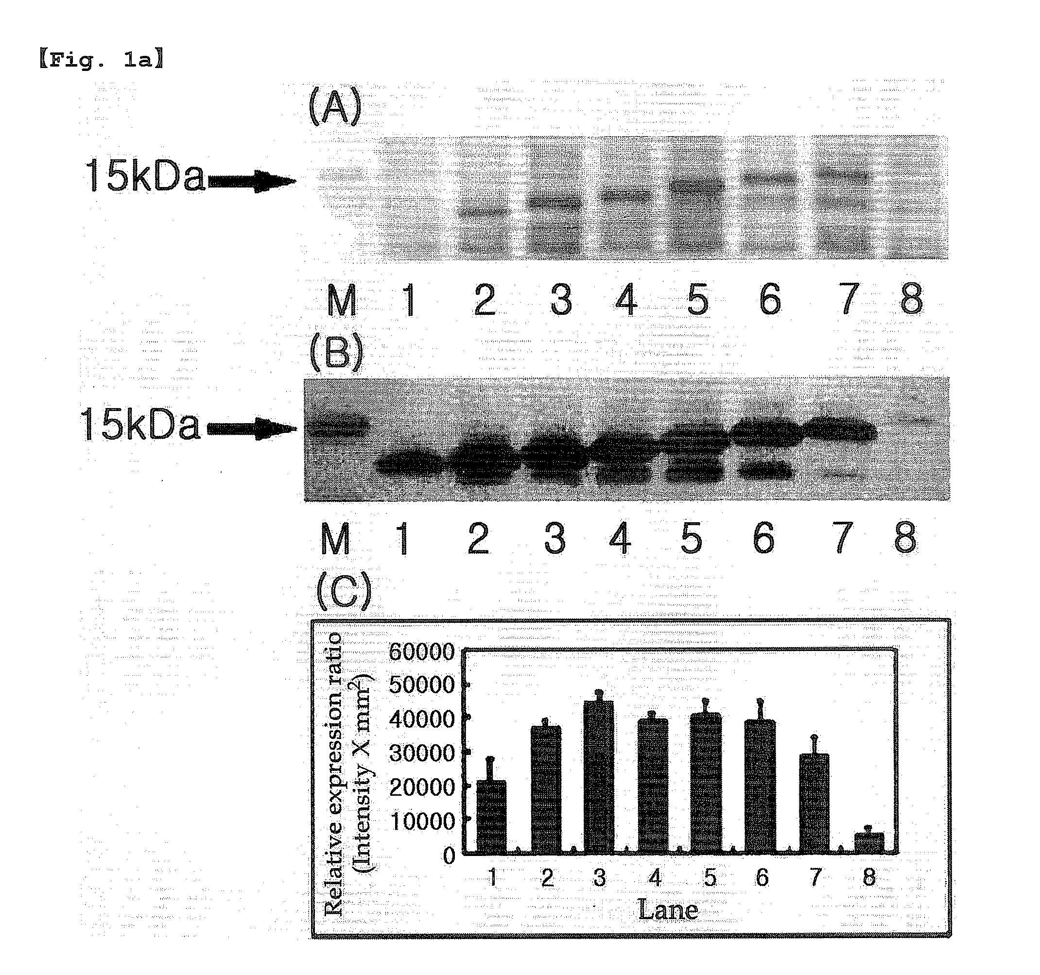 Production of soluble recombinant protein by pi value control of n-terminal