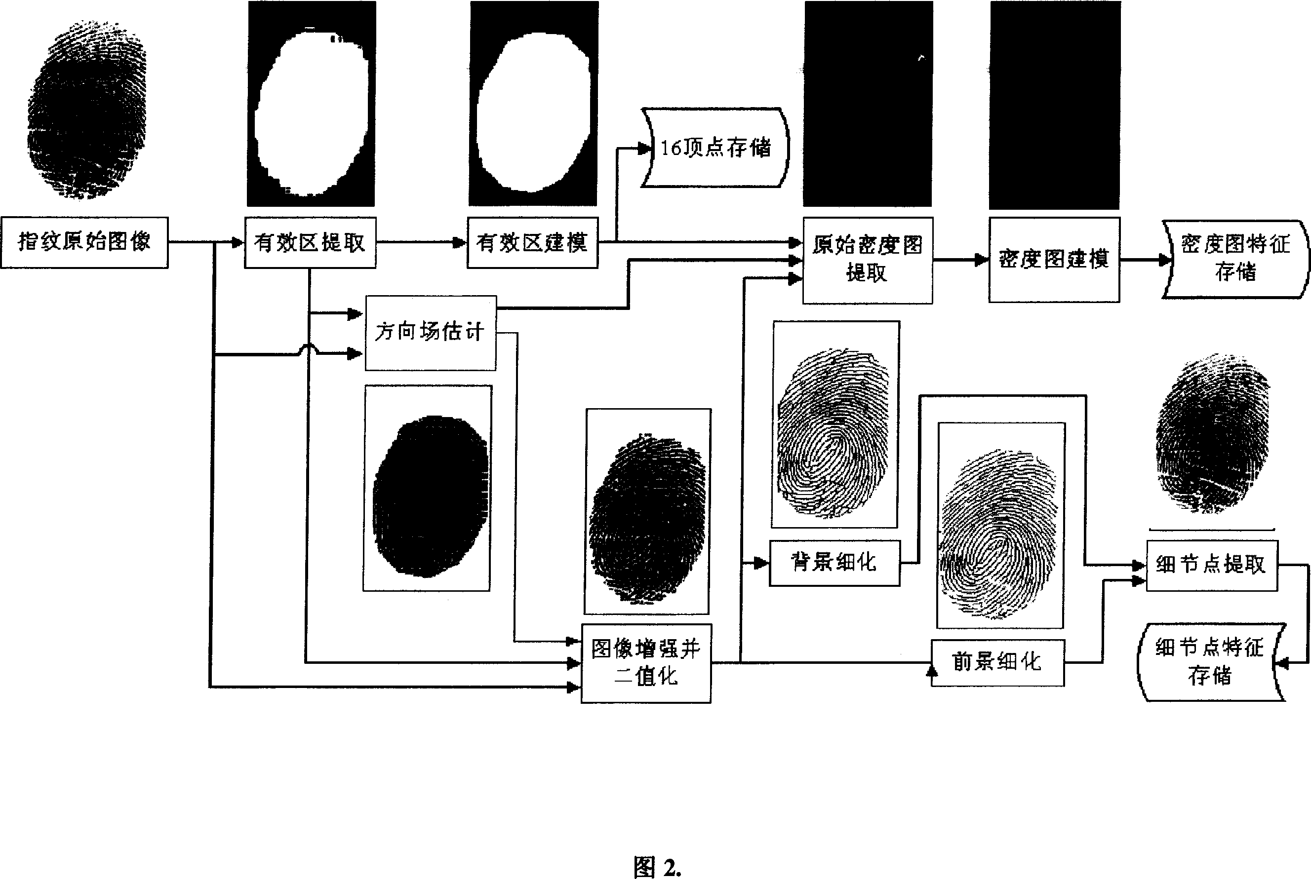 Fingerprint identification method based on density chart model