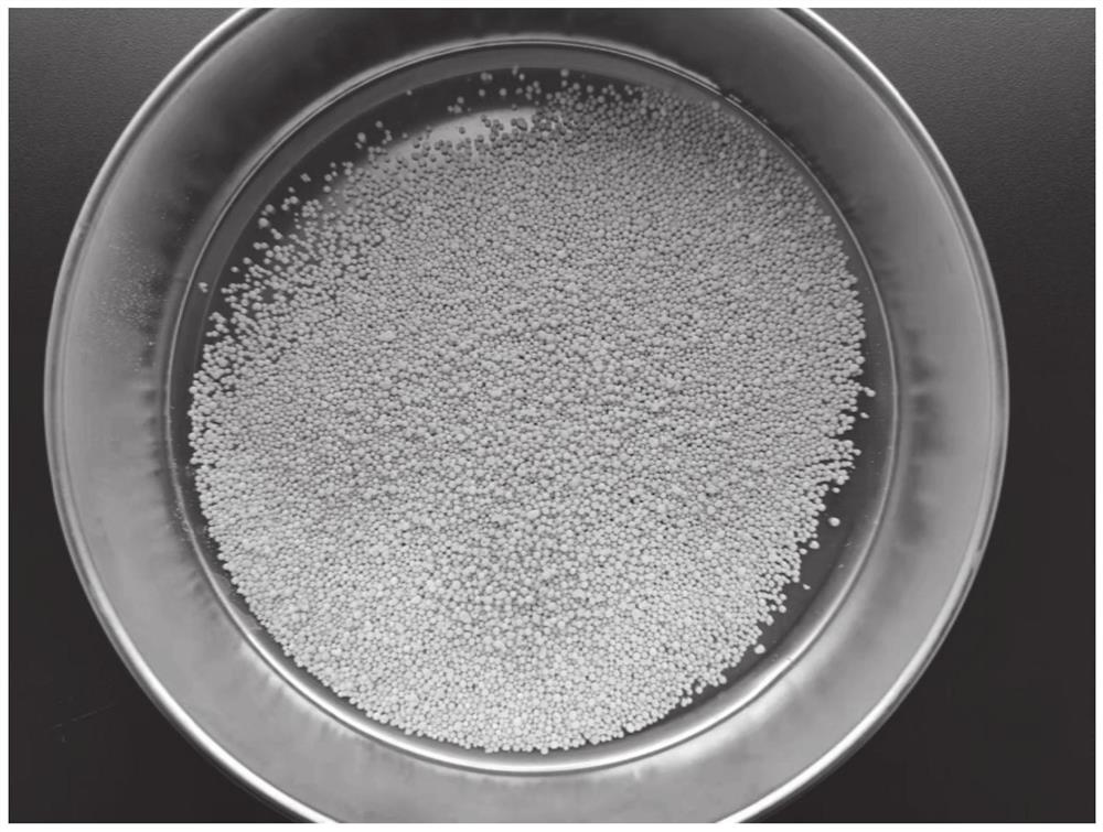 Porous granular ammonium nitrate fuel oil explosive with stable and safe performance