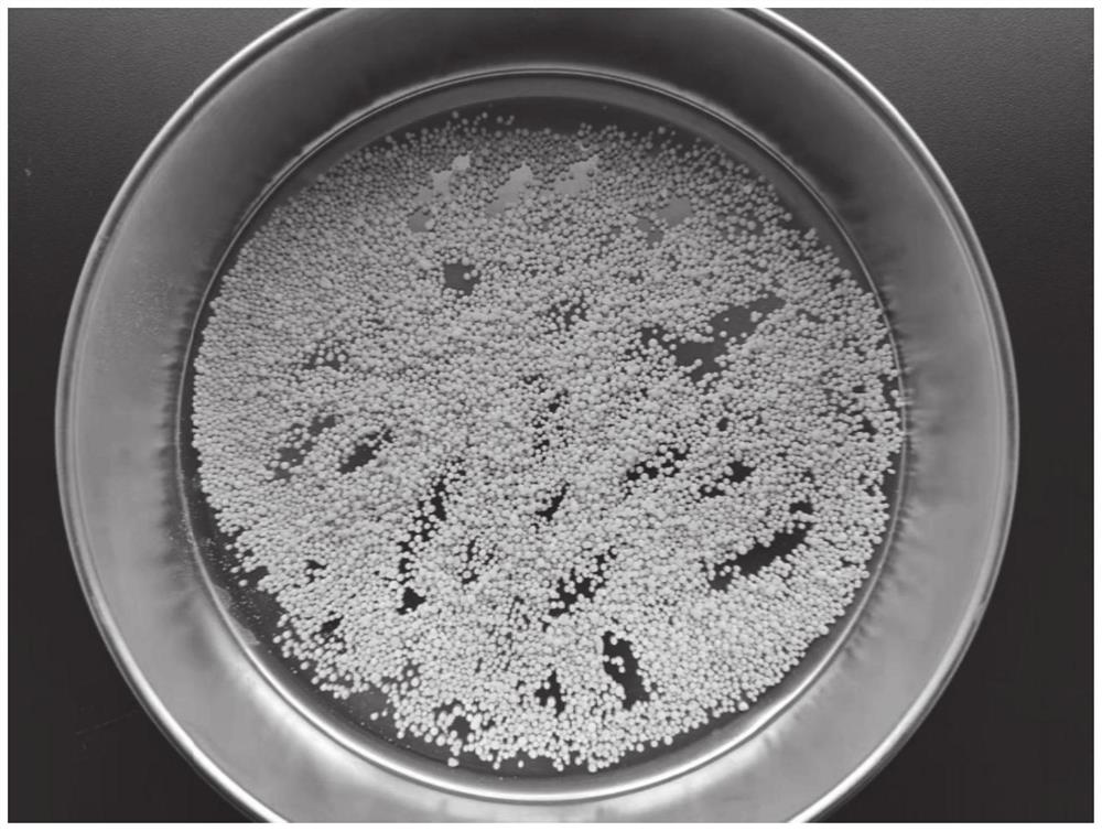 Porous granular ammonium nitrate fuel oil explosive with stable and safe performance