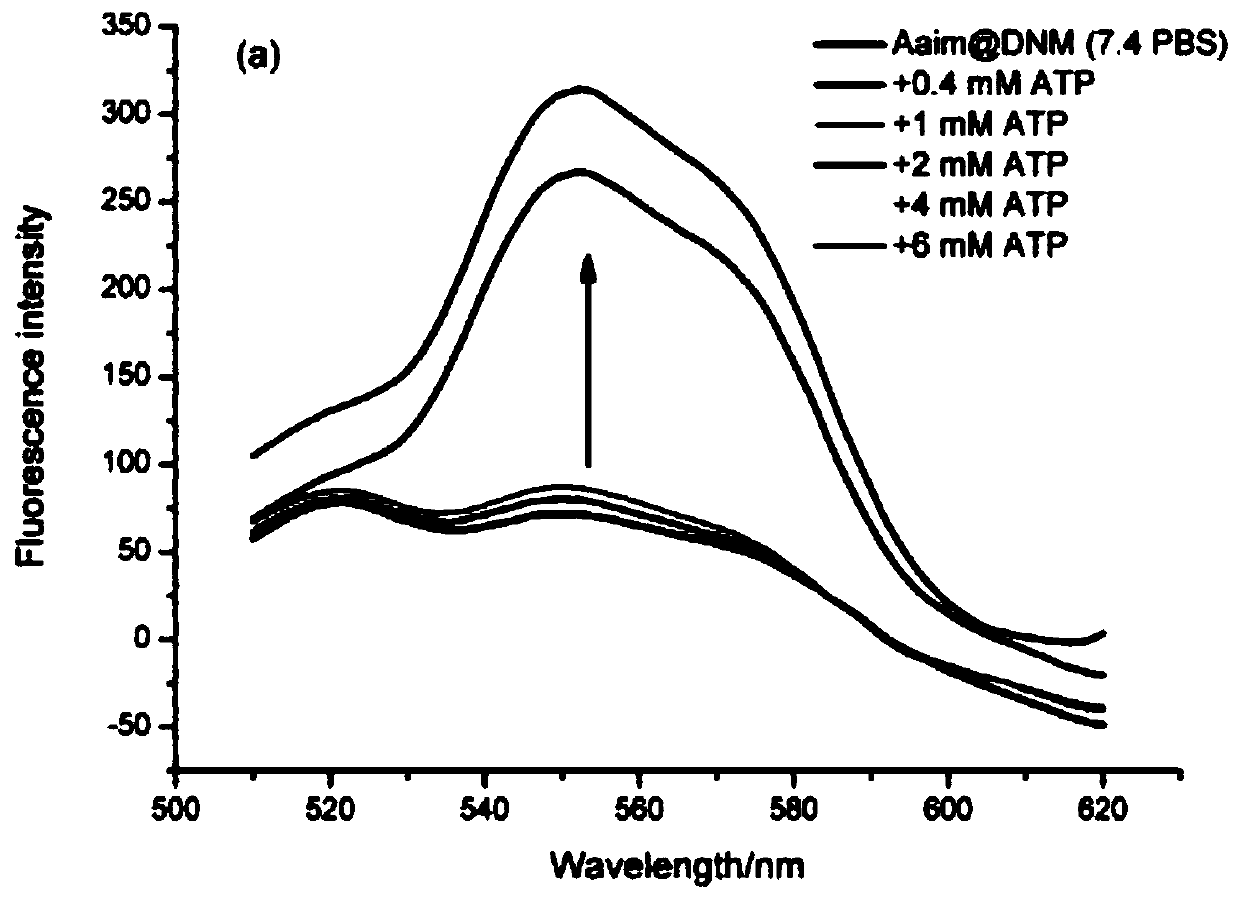 Preparation and applications of pH and ATP response-type nano carrier