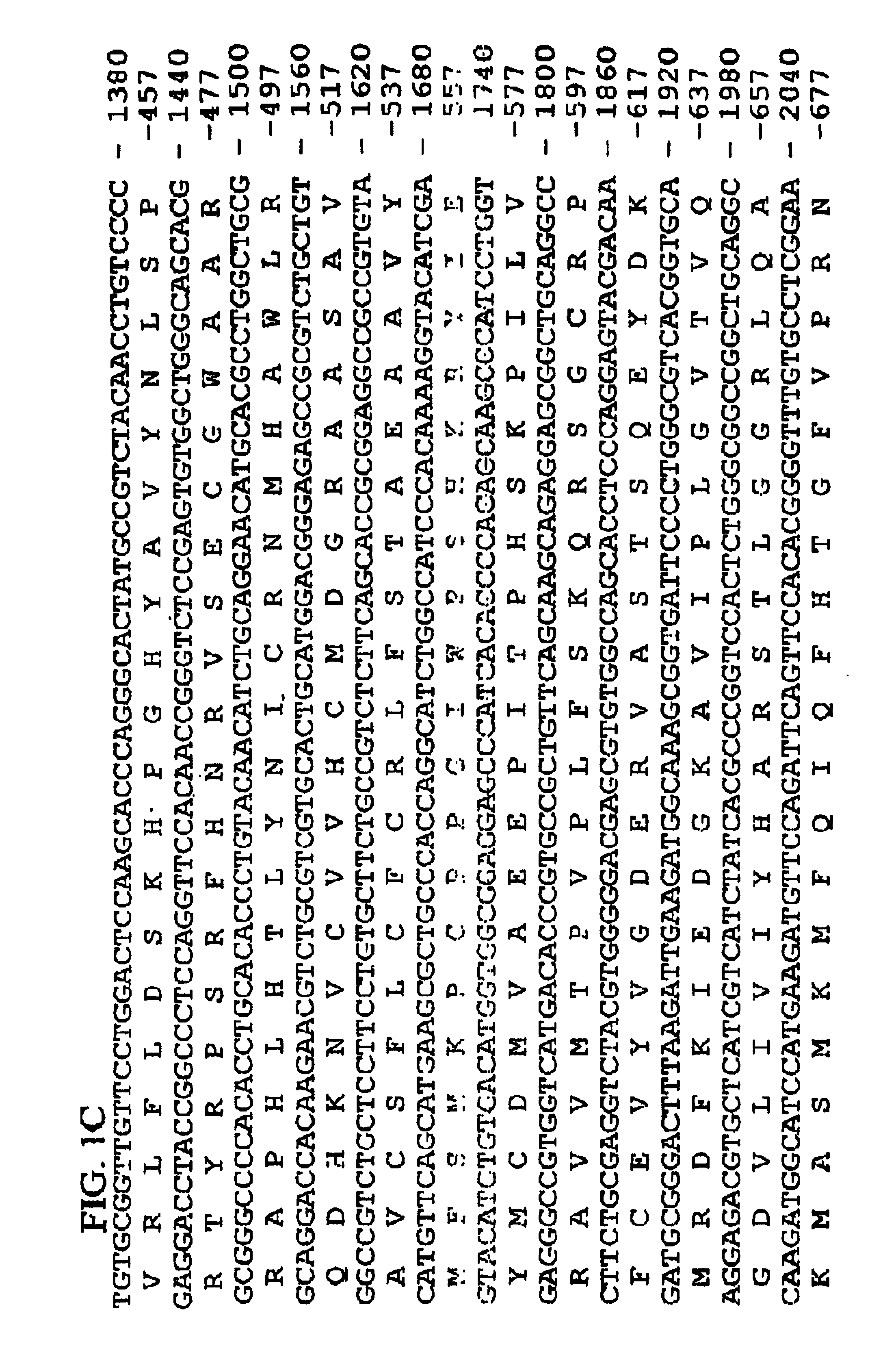 Human GAK-related gene variants associated with lung cancer