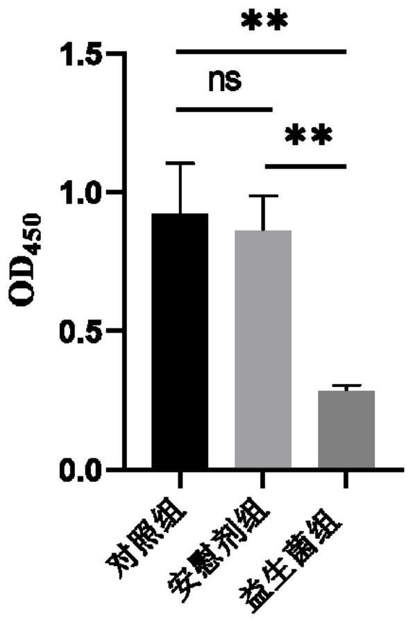 Lactobacillus sake for relieving anaphylactic reaction and preparation method thereof