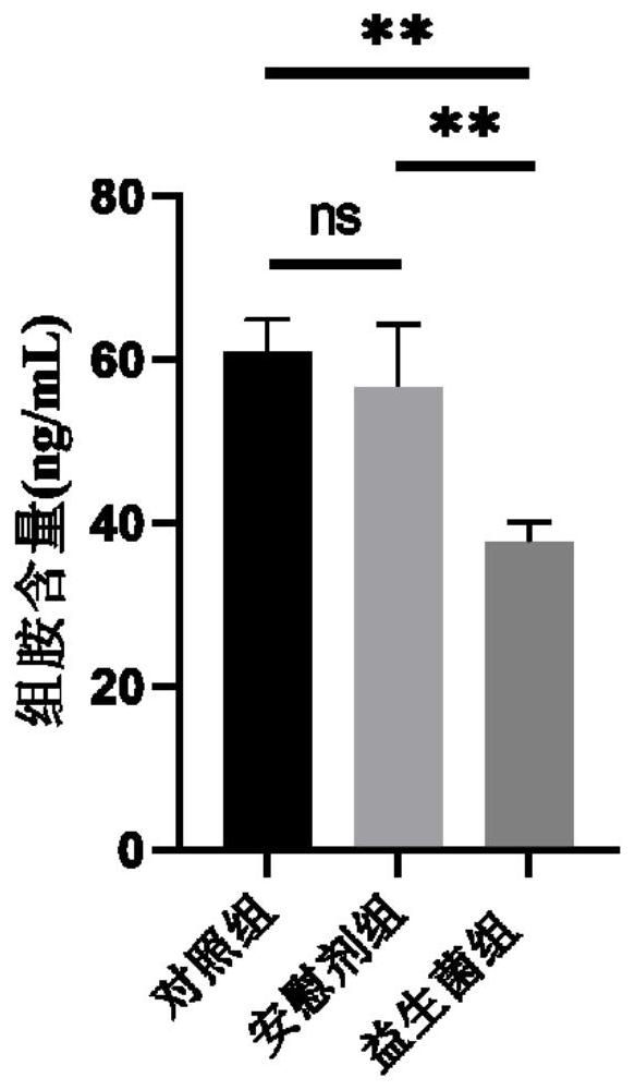 Lactobacillus sake for relieving anaphylactic reaction and preparation method thereof