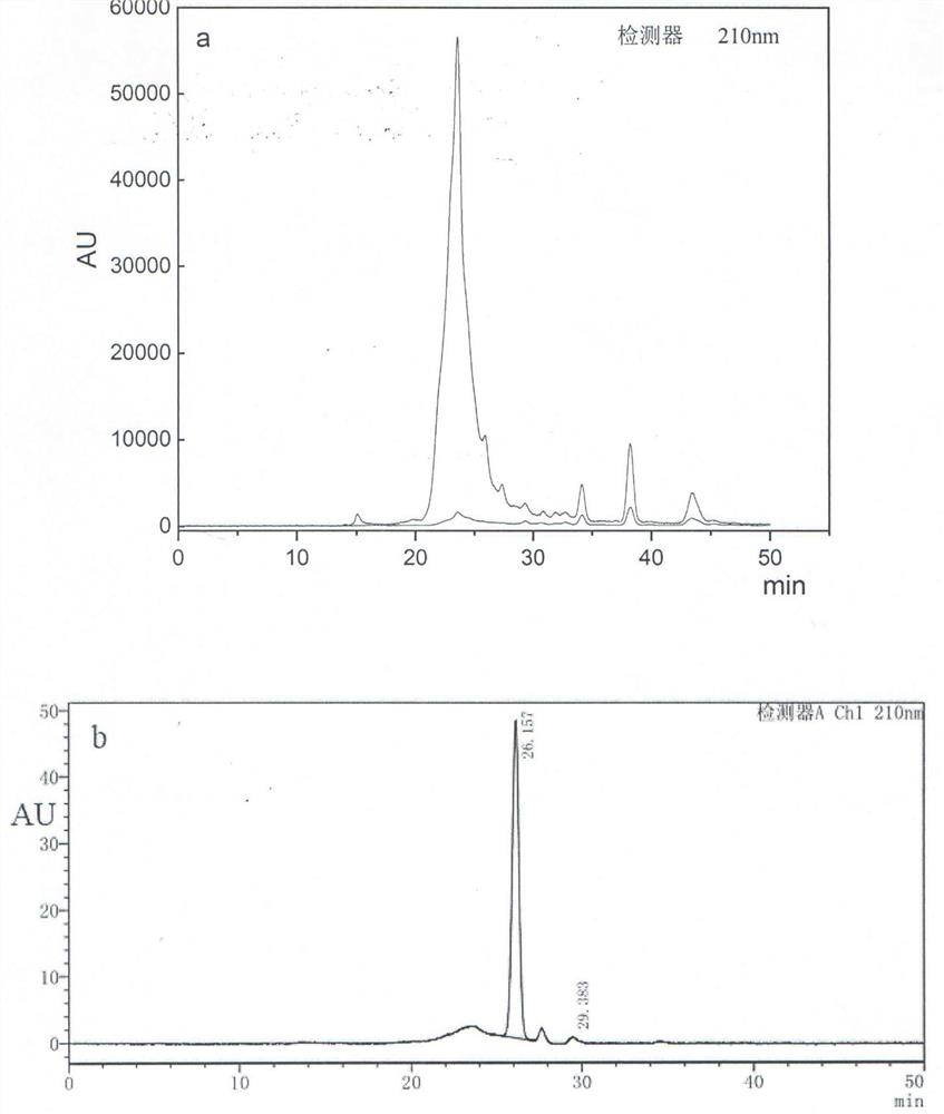 Lamb fourth stomach glycoprotein extraction, separation and purification method and application thereof