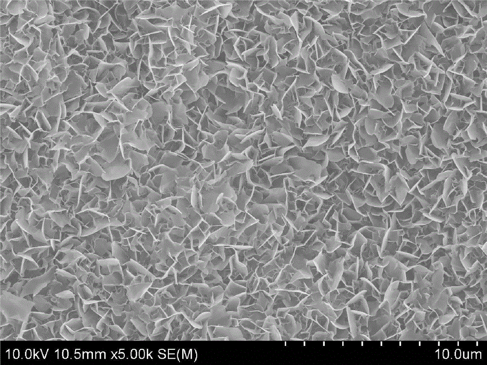 Method for mild and massive preparation of mineralization silk fibroin films