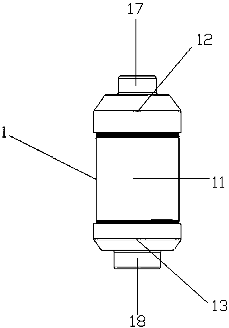 Microplastic sampling column, microplastic collection device and in-situ digestion method