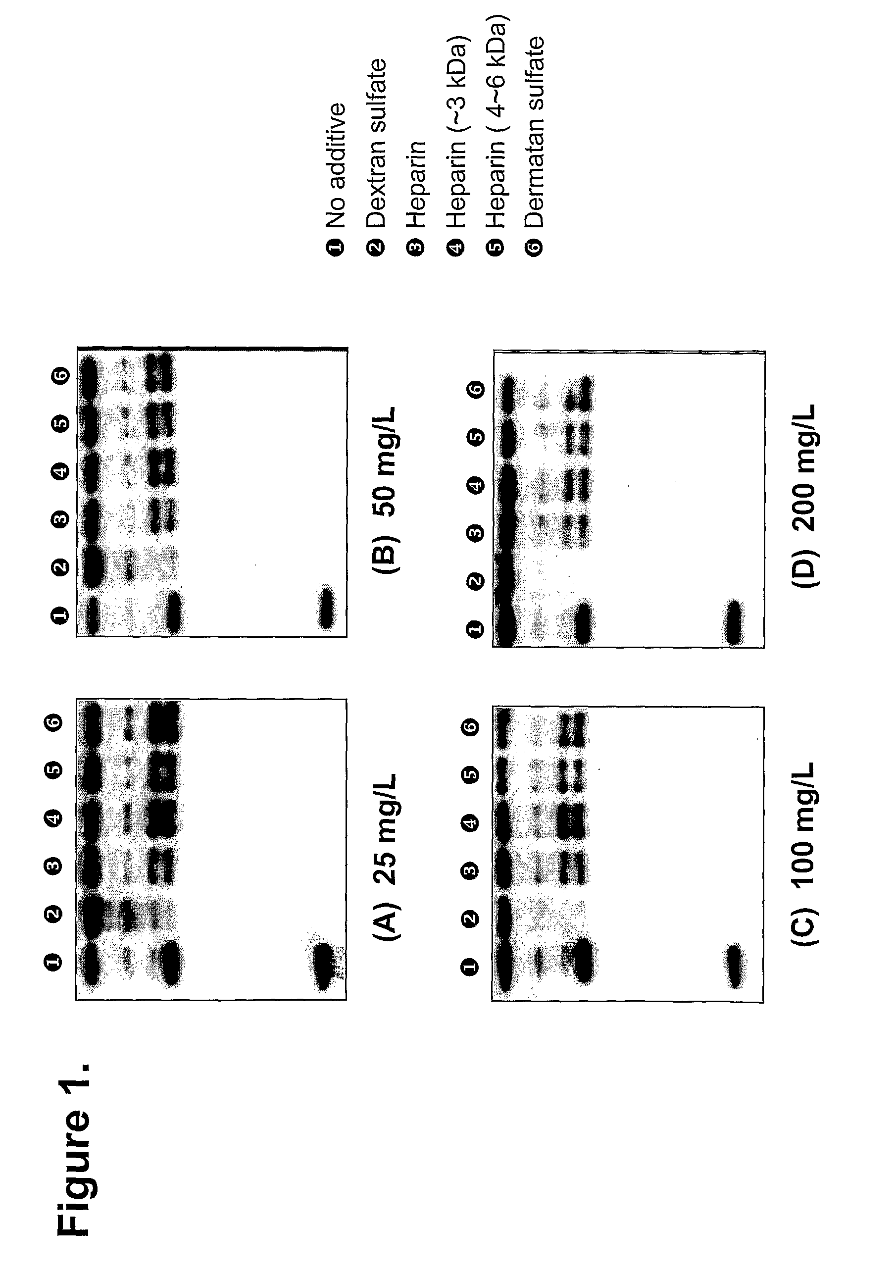 Process for producing and purifying factor VIII and its derivatives