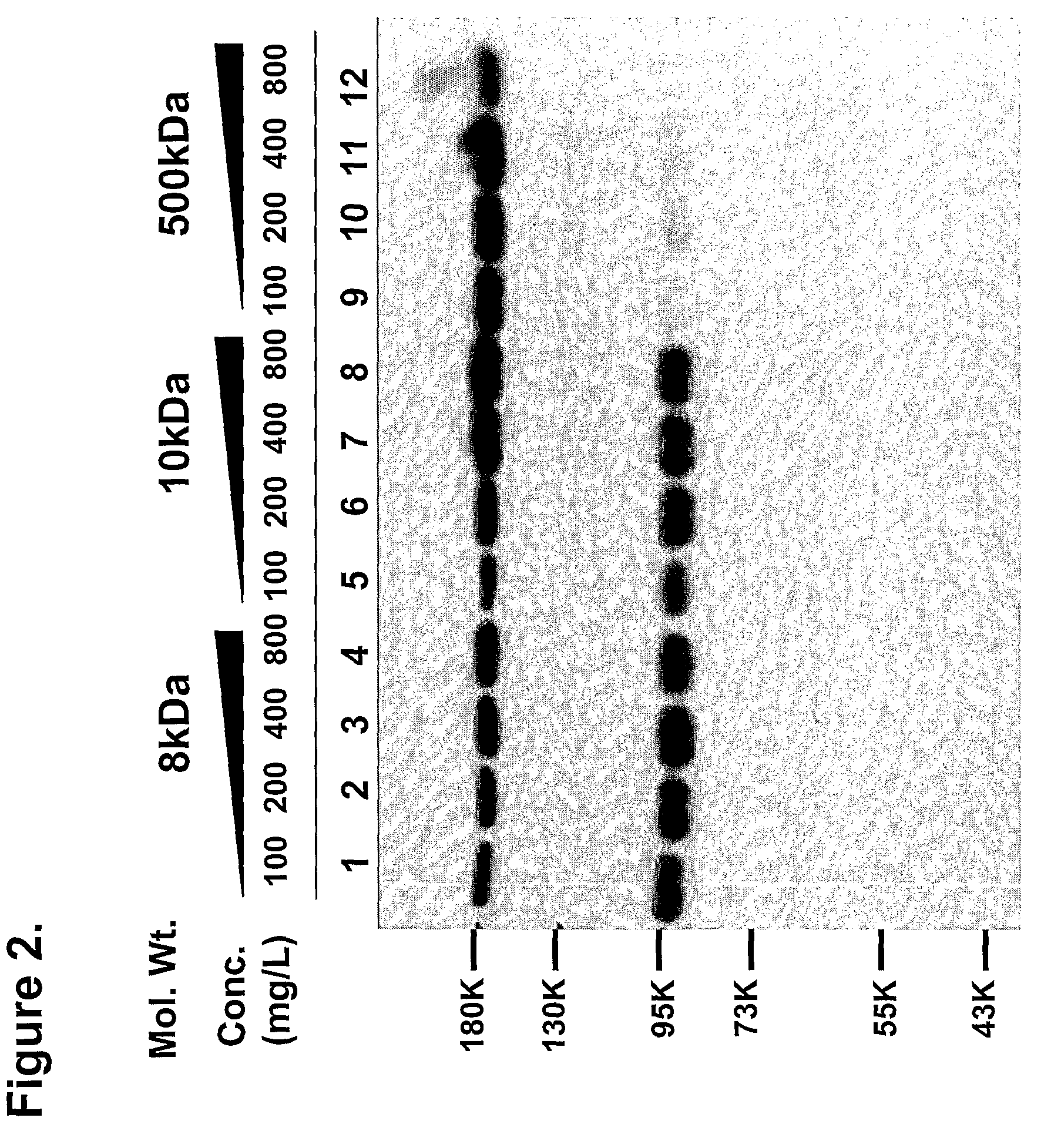 Process for producing and purifying factor VIII and its derivatives